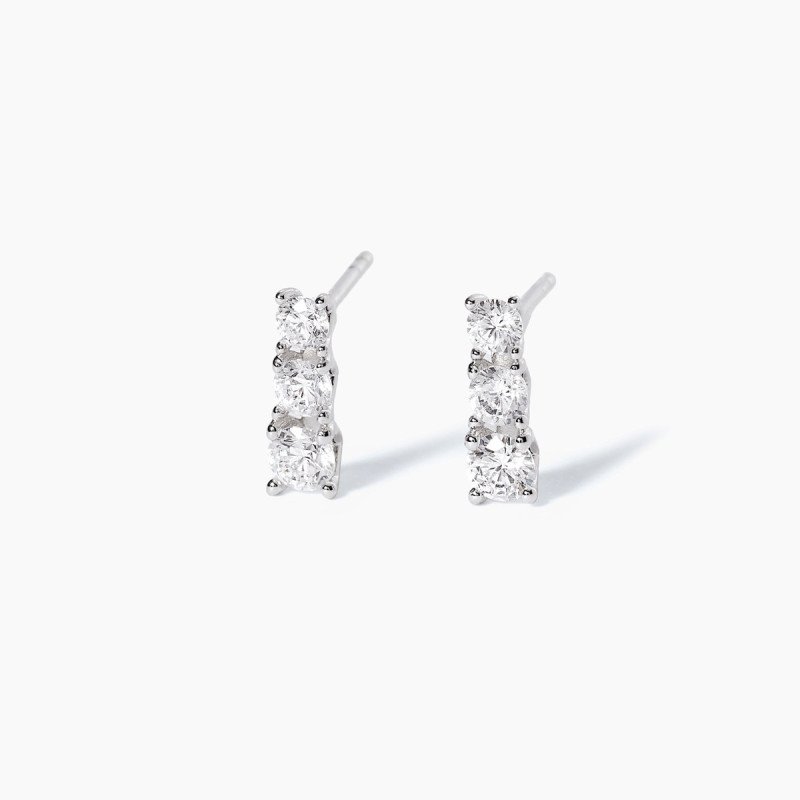 Orecchini in argento 925 - 563068