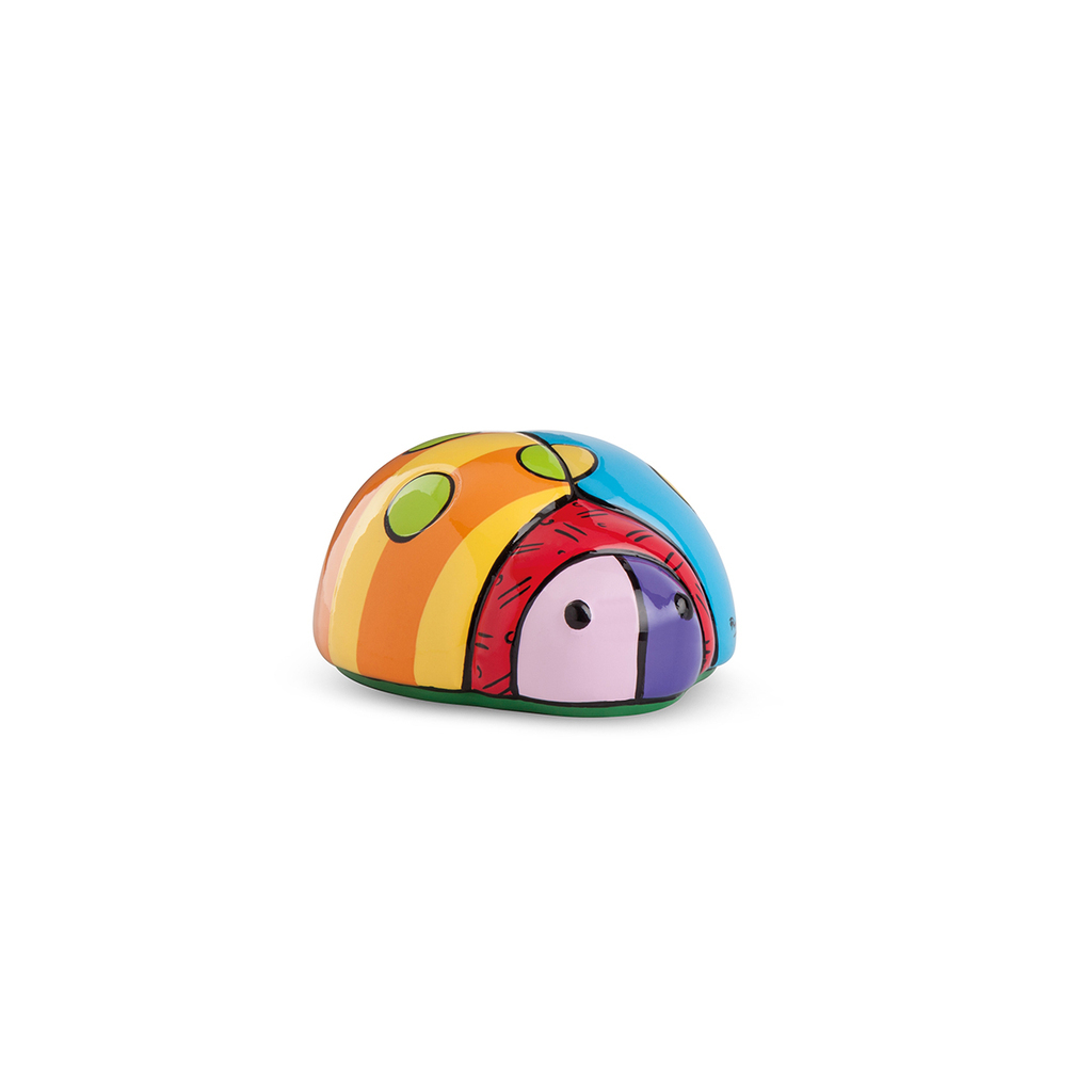 Coccinella britto 8x11 - bt18cc/2