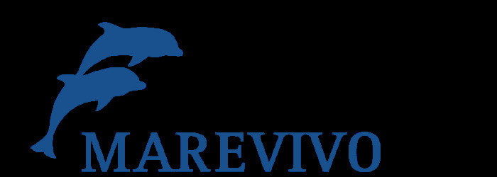 Bracciale giada verde e acciaio 316l - 732054