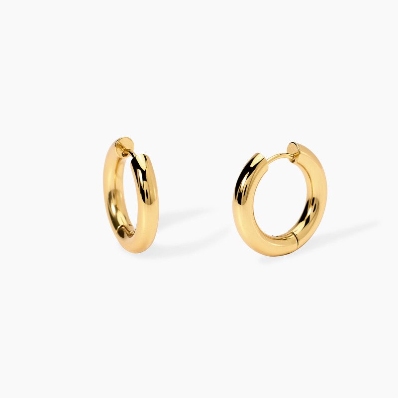 Orecchini dorati a cerchio - 861073