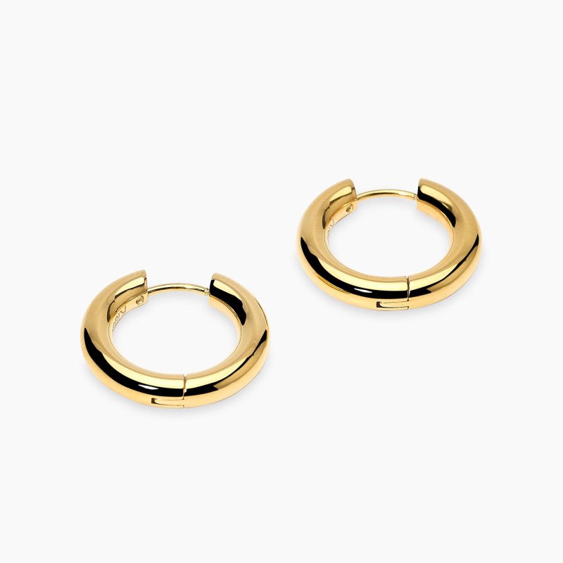 Orecchini dorati a cerchio - 861073