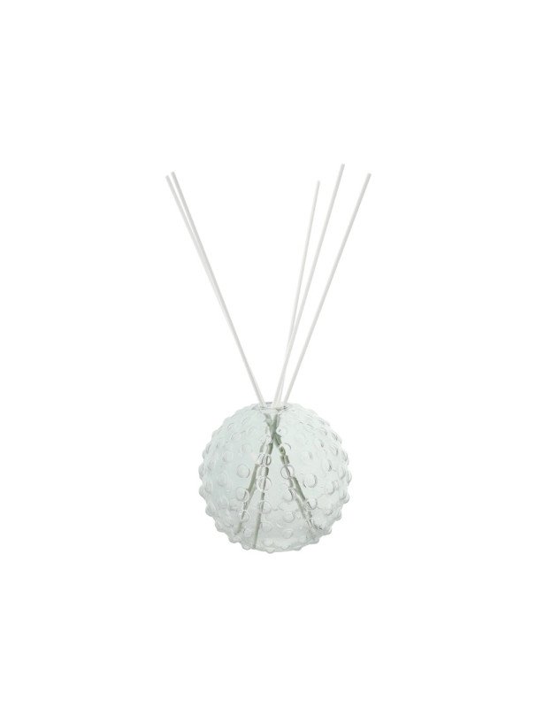 Diffusore di fragranza palla trasparente vetro con bastoncini fiber wood - 51825