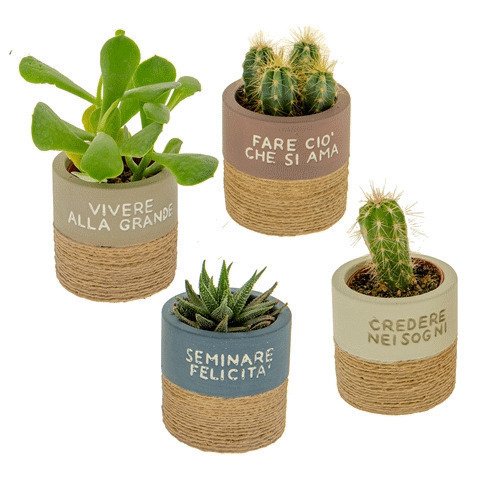 Rustic portapiante 4 soggetti assortiti diametro 7 h. 7 - 02a098 - 02a098