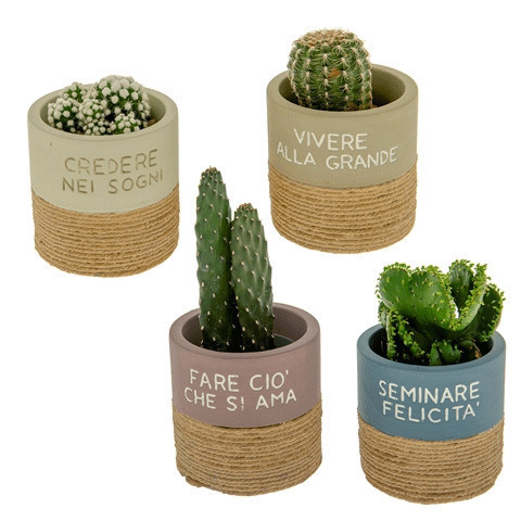 Rustic portapiante 4 soggetti assortiti diametro 9 h. 9 - 02a099 - 02a099