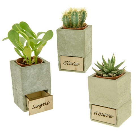 Pocket portapiante con cass. 3 soggetti assortiti cm9 h13 - 02a101 - 02a101