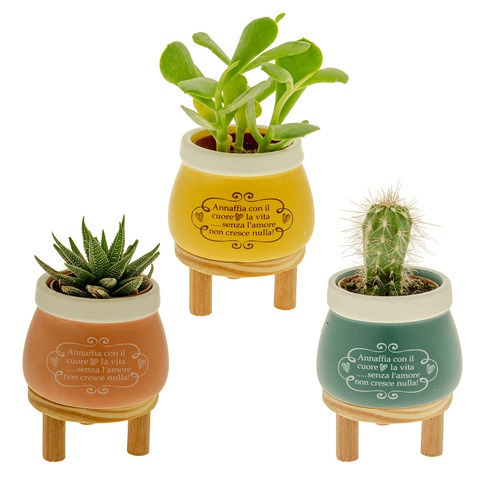 Nuvola portapiante 3 soggetti assortiti cm. 8 h. 10 - 02a102 - 02a102