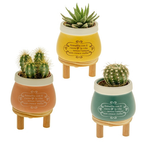 Nuvola portapiante 3 soggetti assortiti cm. 10 h. 12 - 02a103 - 02a103