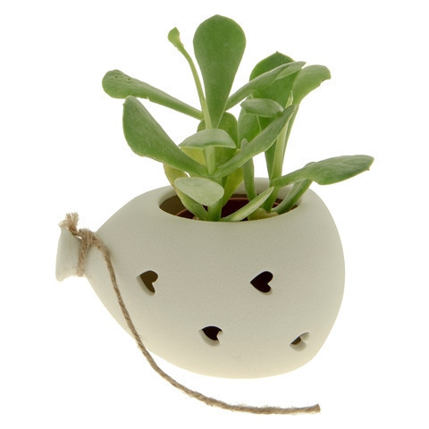 Bolla portapiante cm. 12 - 02a112 - 02a112