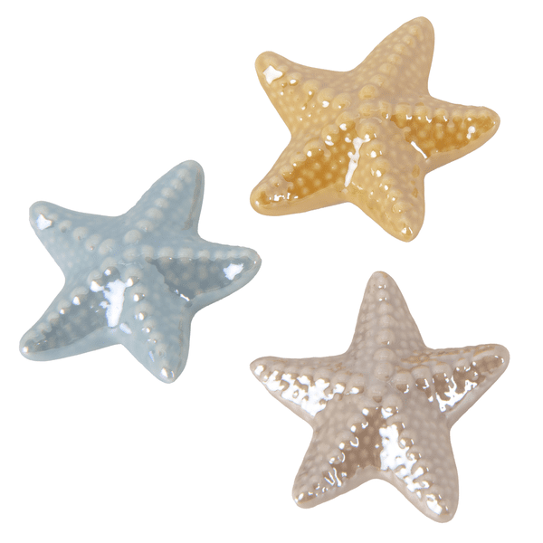 Star magnete s/3 cm. 6 pvc box - 02a352