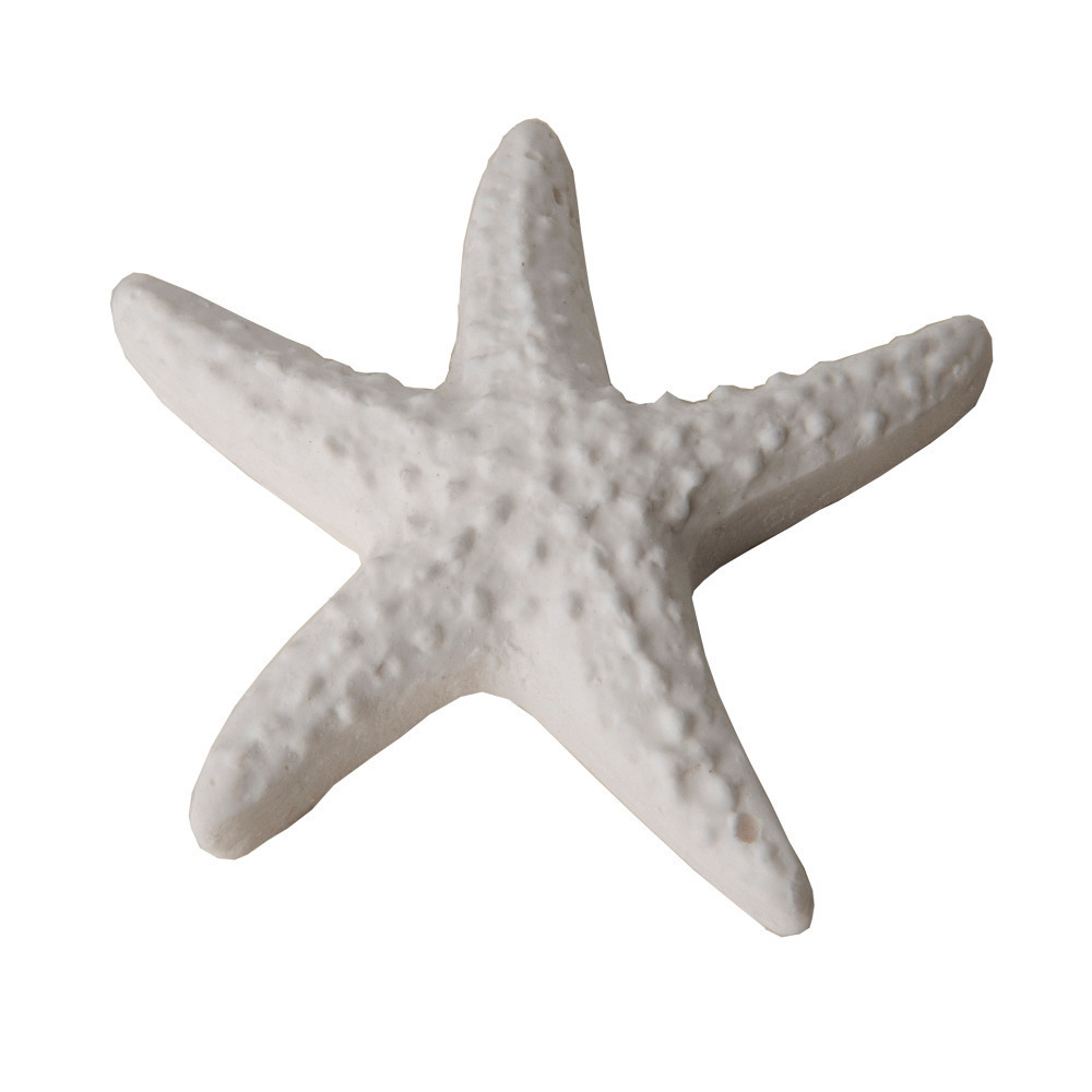 Gesso stella mare cm 4 - 08398 - 08398