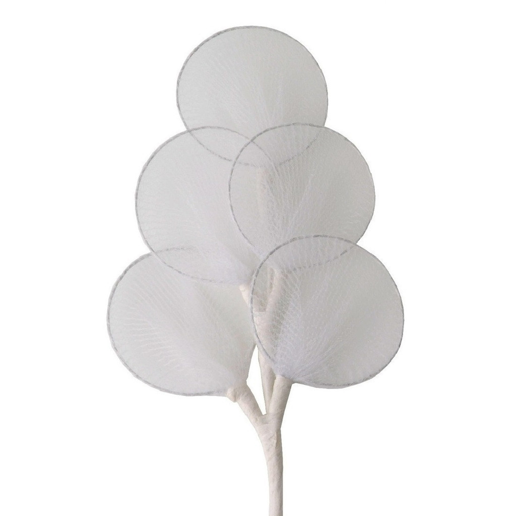 Racchetta b. Ca mazzo da 5 cm 14 - b0061b. Co - b0061b.co