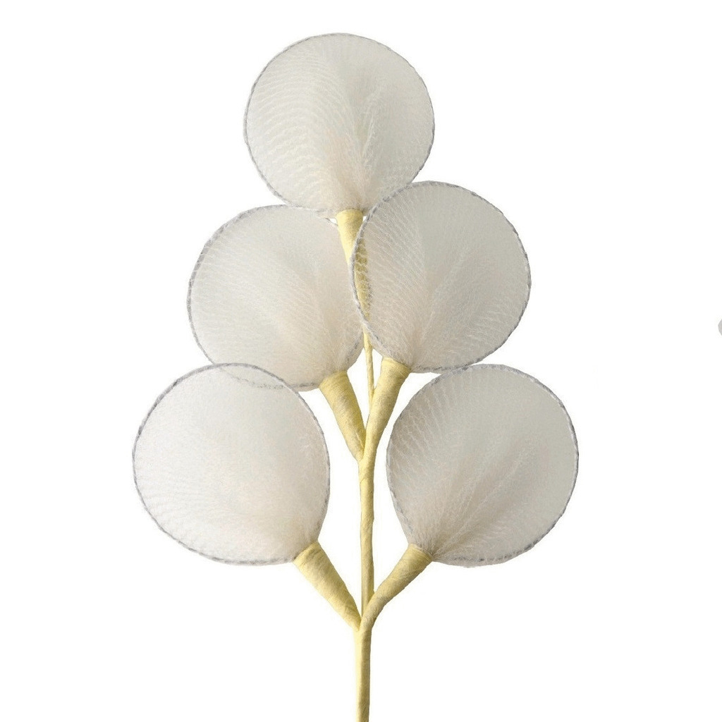 Racchetta ecru' mazzo da 5 cm14 - b0061ecru - b0061ecru