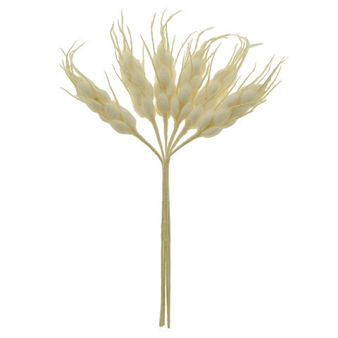 Natura spiga cm. 6 - b0720 - b0720