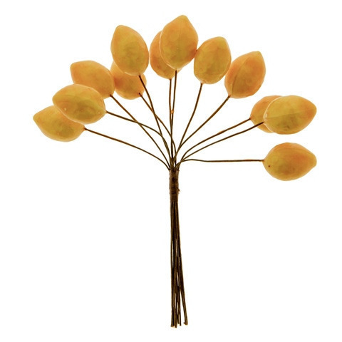 Natura limone cm. 2,5 - b0722 - b0722