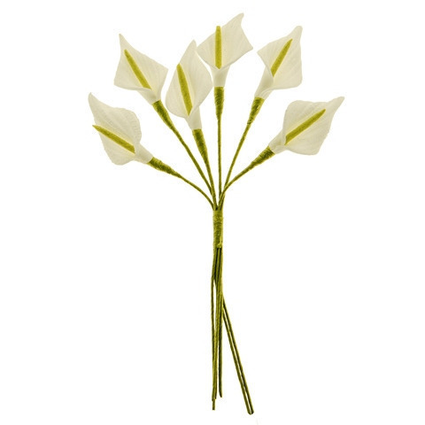 Green calla media cm. 3 - b0724 - b0724