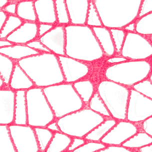 Stock rete xl sempl. Cm25x25 fuxia /480nt - c1198