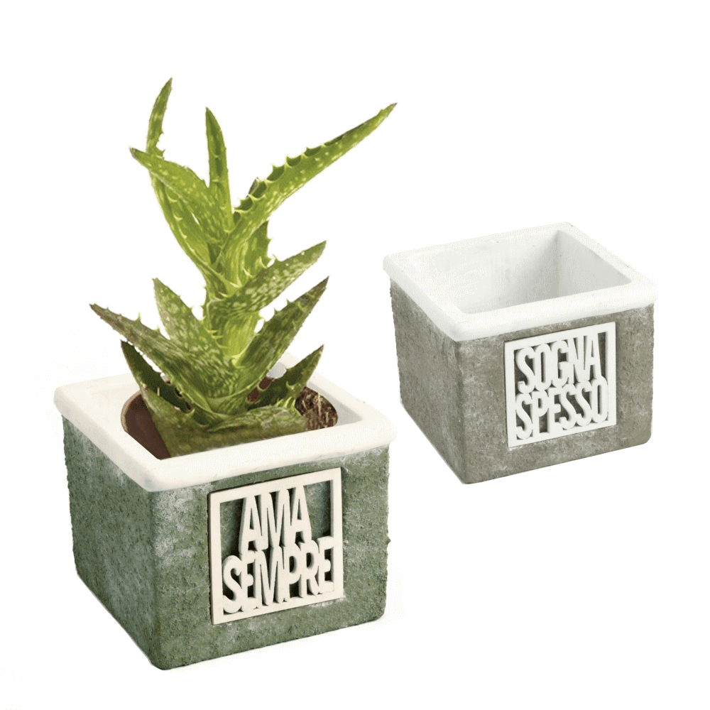 Qfnatura portapiante 2 soggetti assortiti cm 10x10 h. 8 - qfc633 - qfc633