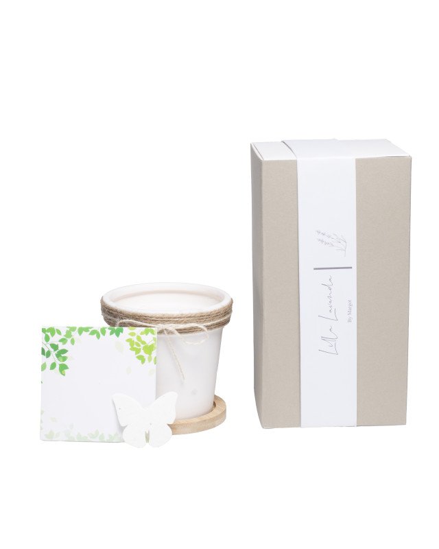 Vaso Con Semi - lav301