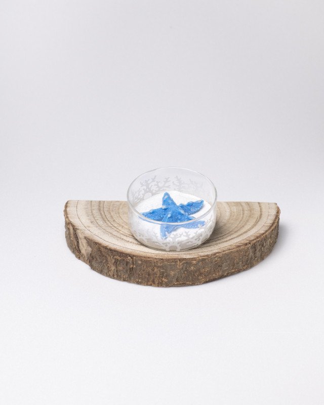 Porta candela mare media con astuccio - map109