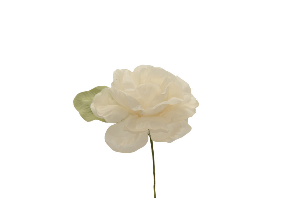 Rosa piccolo bicolore 9x5 cm - 021962+31