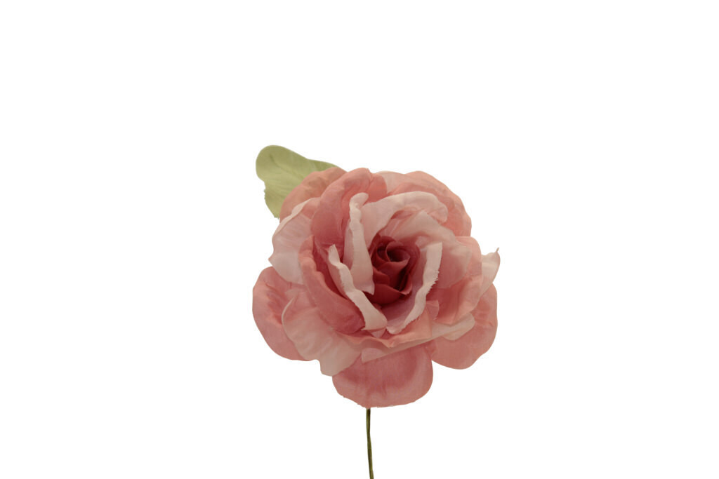 Rosa piccolo bicolore 9x5 cm - 021962+6