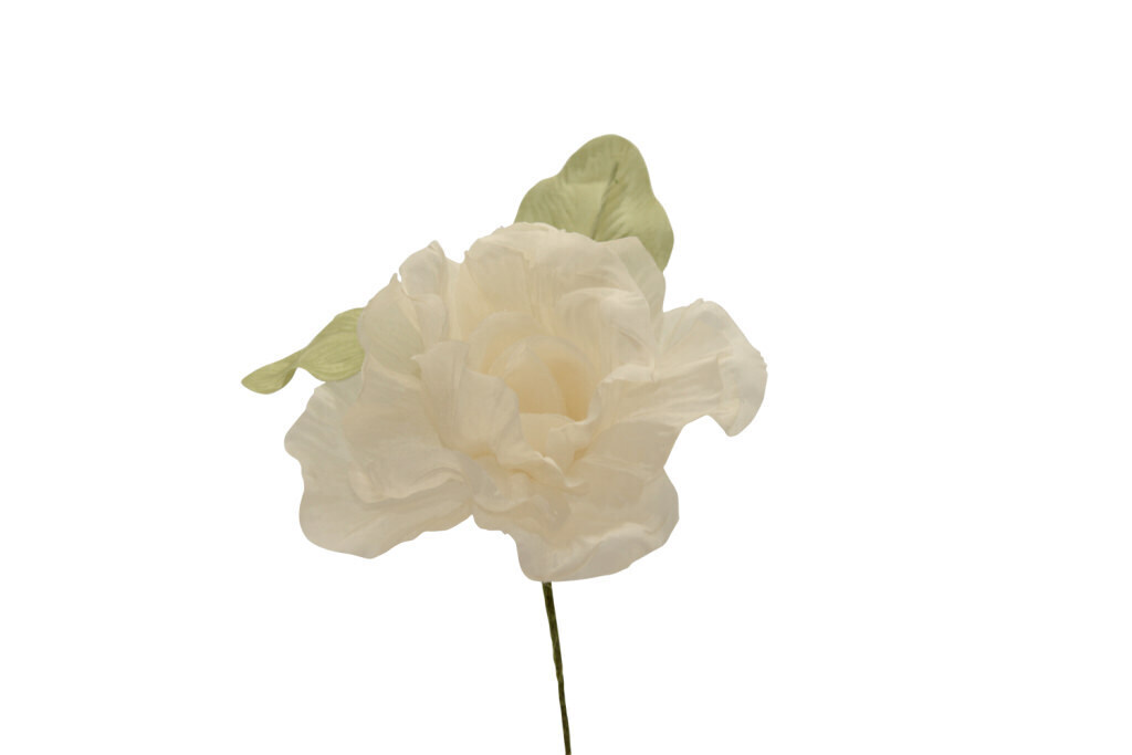 Rosa grande bicolore 11x6 cm - 021963+31