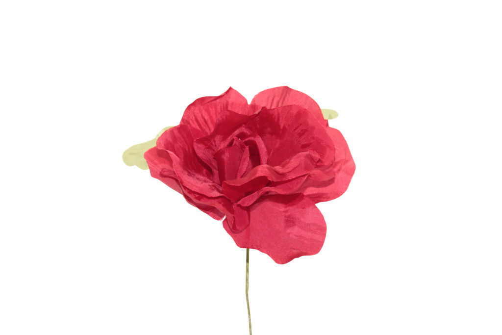 Rosa grande bicolore 11x6 cm - 021963+34