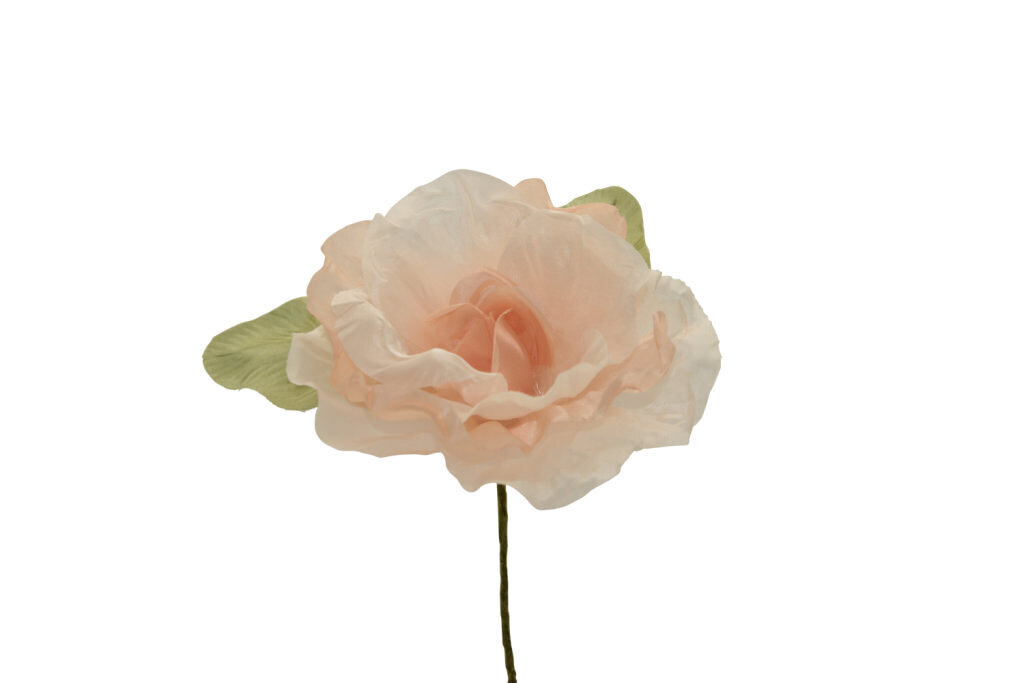 Rosa grande bicolore 11x6 cm - 021963+36