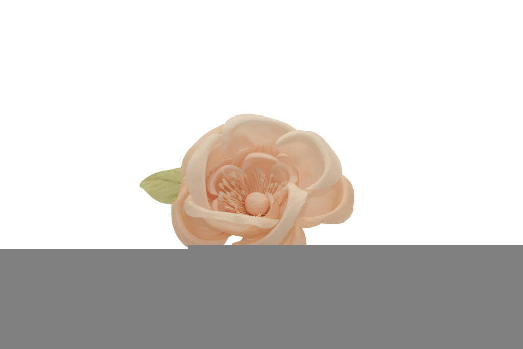 Camelia japonica grande 10x10 cm - 021964+36