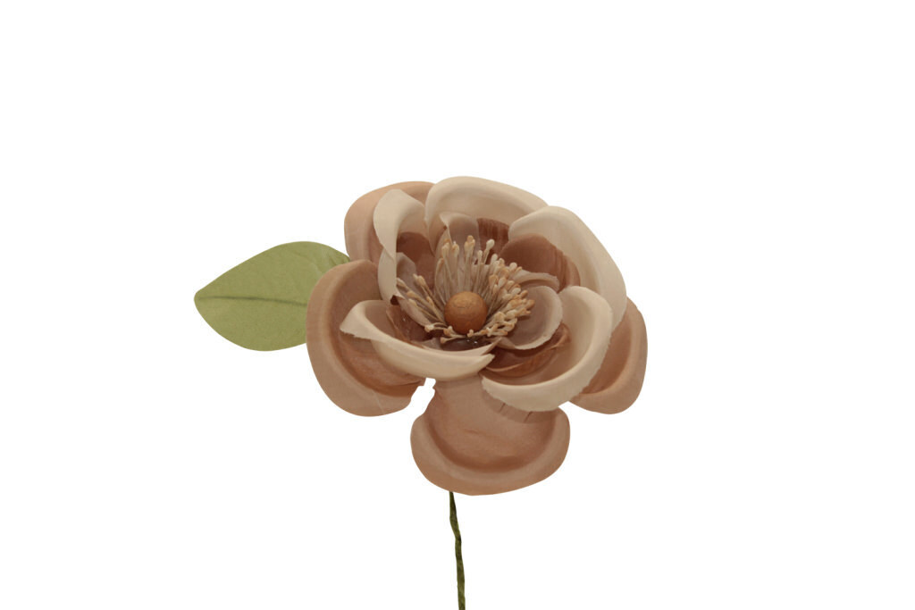 Camelia japonica grande 10x10 cm - 021964+5