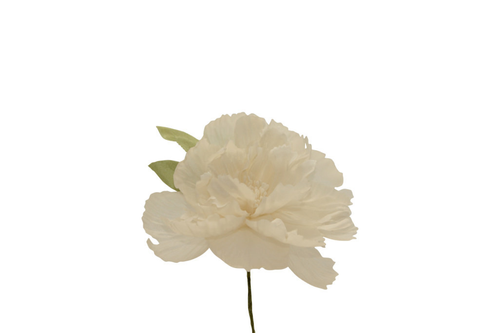 Peonia grande 11x11 cm - 021967+31