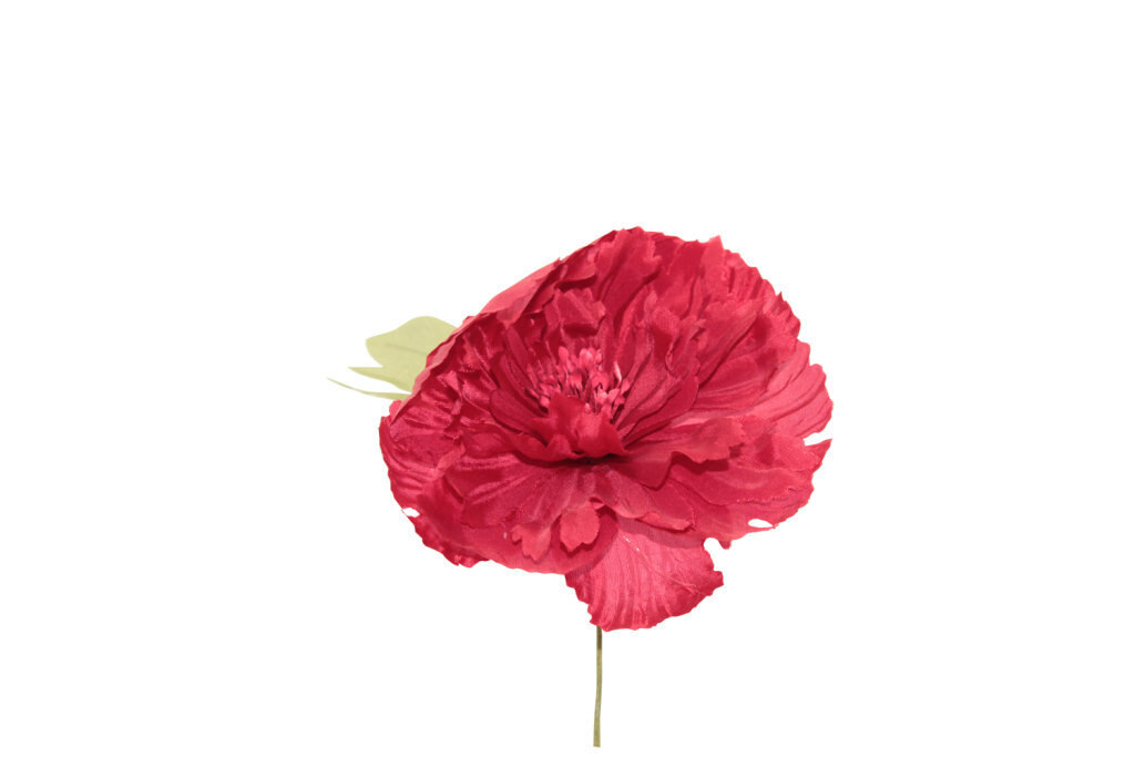 Peonia grande 11x11 cm - 021967+34