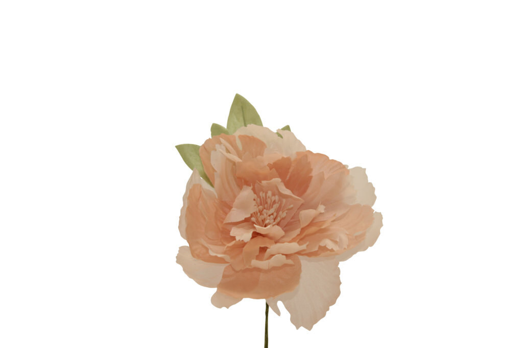 Peonia grande 11x11 cm - 021967+36