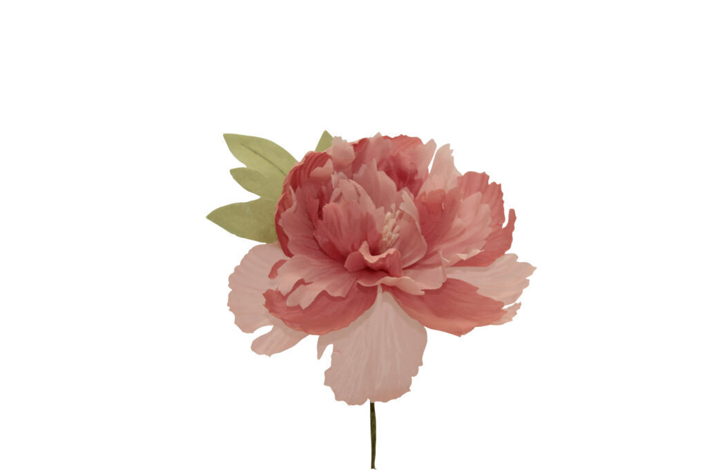 Peonia grande 11x11 cm - 021967+6