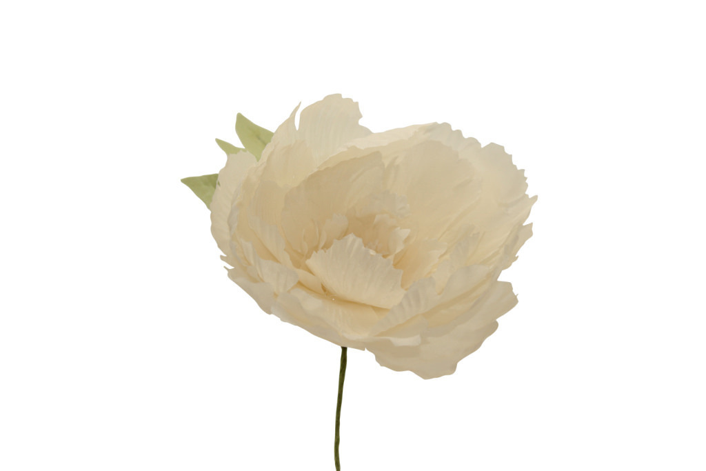Peonia gigante 14,5x14,5 cm - 021968+31