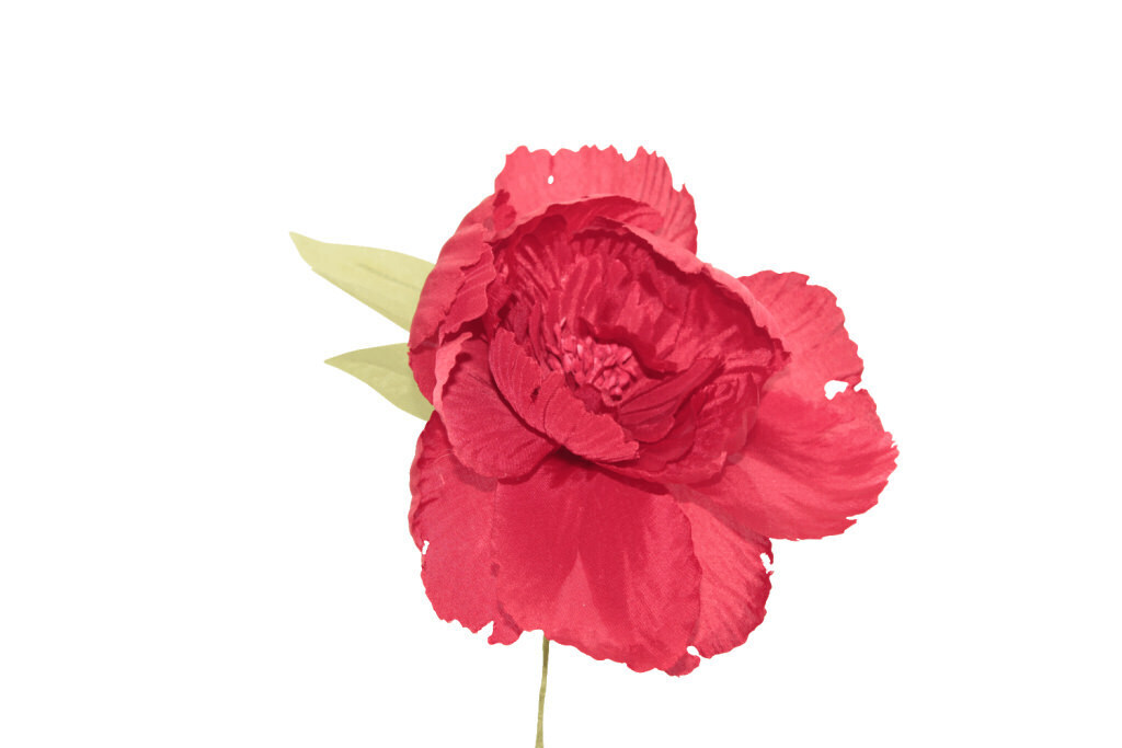 Peonia gigante 14,5x14,5 cm - 021968+34