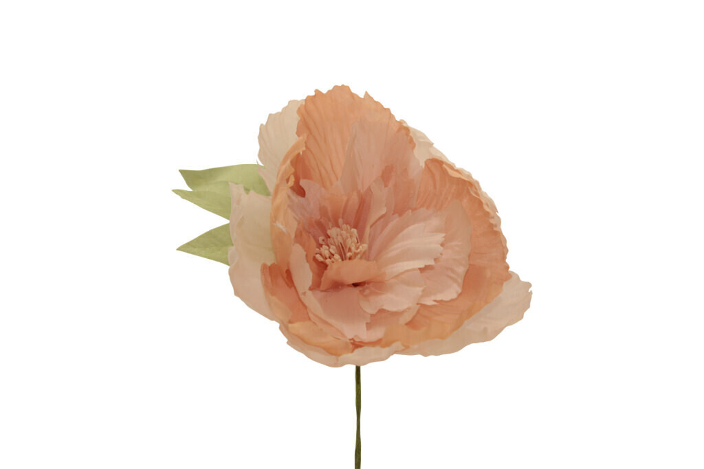 Peonia gigante 14,5x14,5 cm - 021968+36