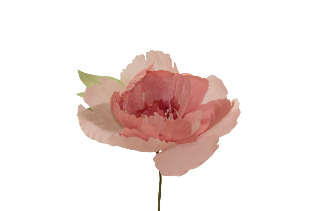 Peonia gigante 14,5x14,5 cm - 021968+6
