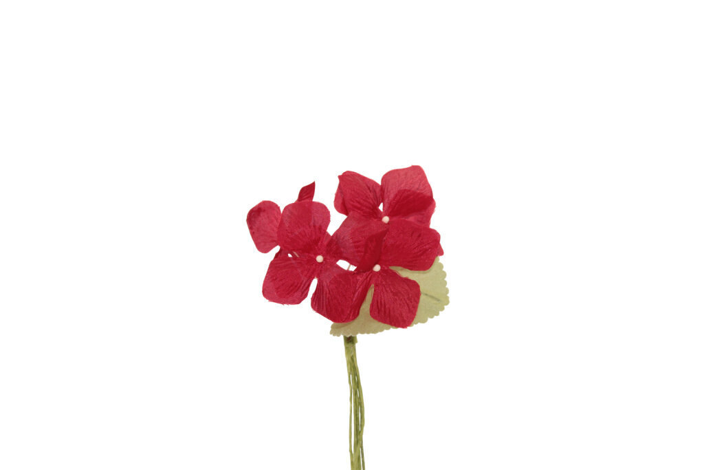 Ortensia piccolo 8,5x6 cm - 021969+34