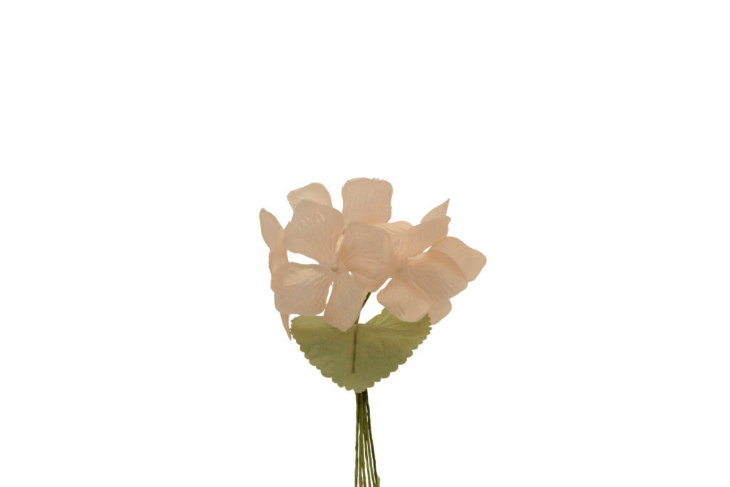 Ortensia piccolo 8,5x6 cm - 021969+36