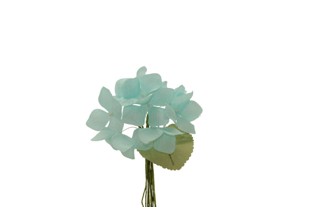 Ortensia medio 10x9 cm - 021970+22