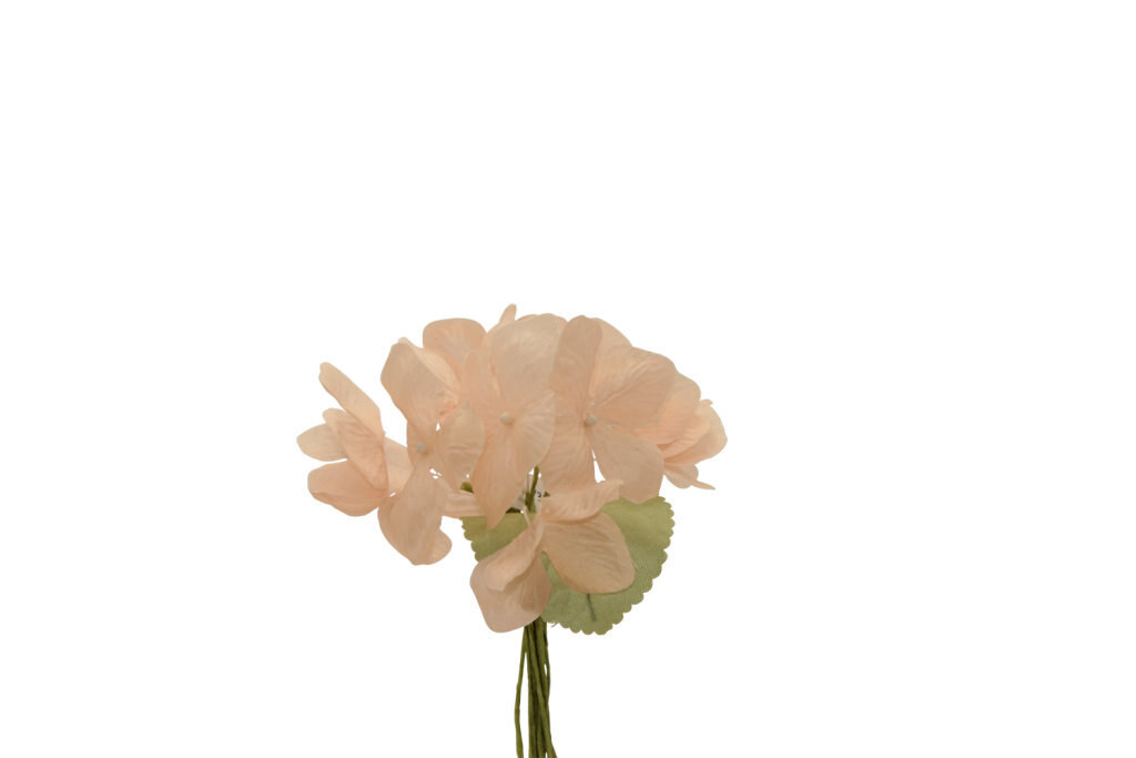 Ortensia medio 10x9 cm - 021970+36