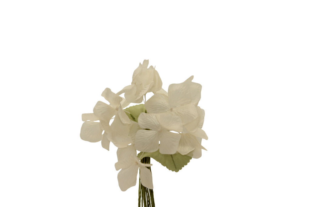 Ortensia grande 13x9 cm - 021971+31