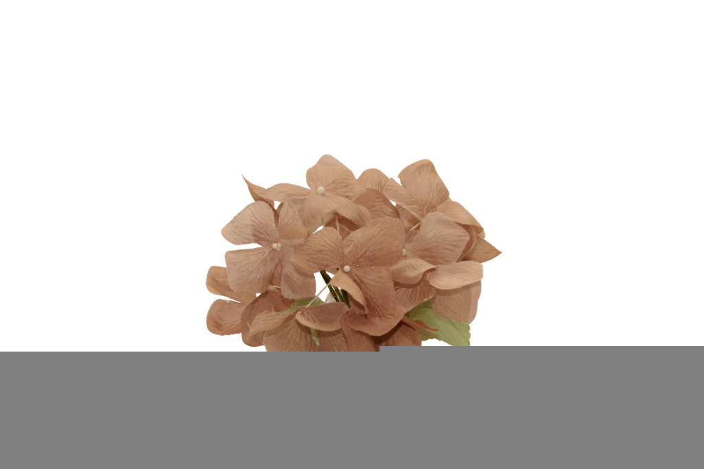 Ortensia grande 13x9 cm - 021971+5