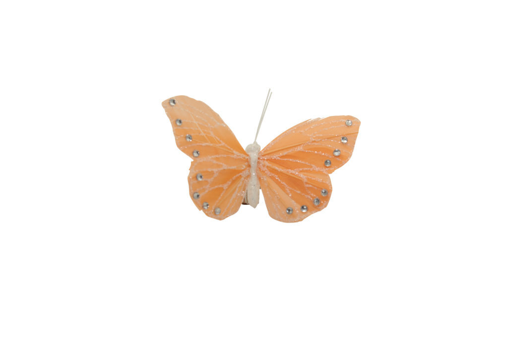 Farfalla salmone con clip 8 cm - 030157+23