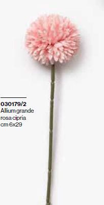 Allium gr rosa 29 cm - 030179+2