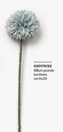 Allium gr acqua marina 29 cm - 030179+22