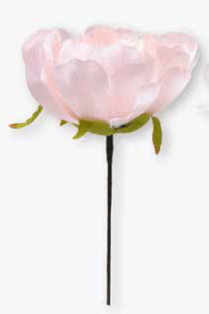 Peonia rosa 10x18 cm - 030185+2