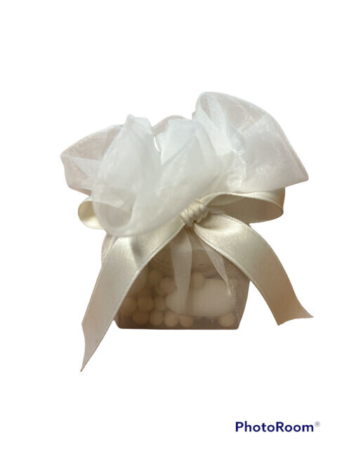 Sacchetto organza bianco 11x10 + sc120 - 091944+a1