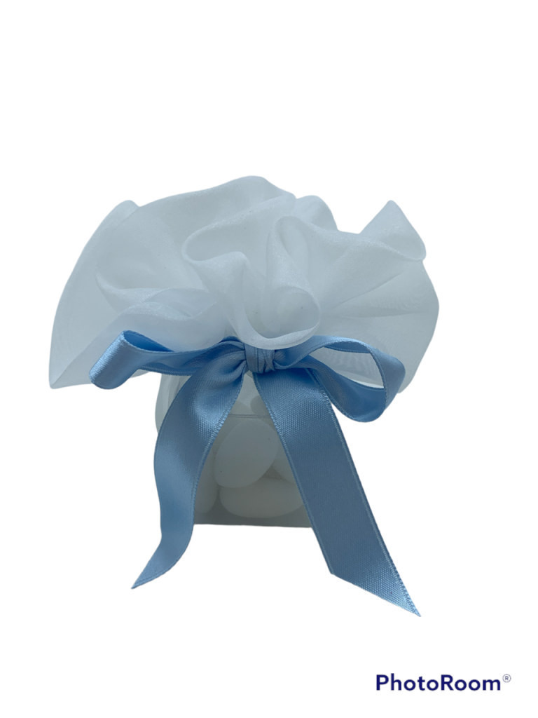 Sacchetto organza celeste 11x10 + sc120 - 091944+a3